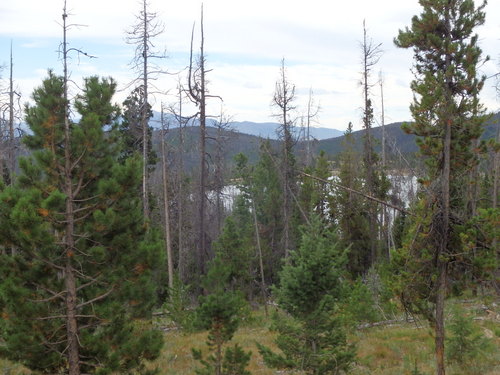 GDMBR: The high road above Park Lake.